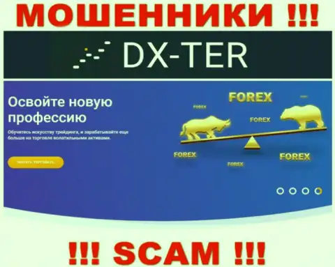 С DX Ter совместно работать весьма рискованно, их направление деятельности FOREX это разводняк