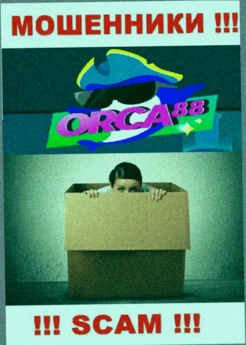 Руководство Orca88 засекречено, у них на официальном сайте о себе информации нет