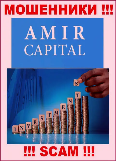 Не отправляйте средства в Amir Capital, направление деятельности которых - Инвестирование