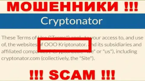 Организация Криптонатор находится под крылом организации OOO Криптонатор