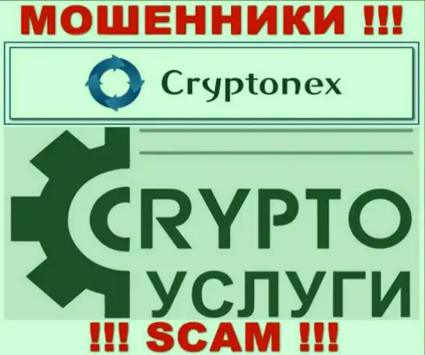 Работая совместно с CryptoNex, сфера деятельности которых Криптовалютные услуги, рискуете остаться без своих денежных средств