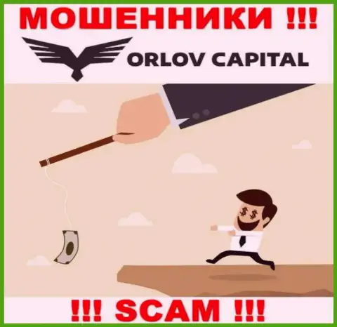 Не верьте Орлов Капитал - берегите свои деньги