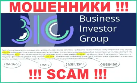 Хотя BusinessInvestor Group и показывают лицензию на информационном портале, они в любом случае МОШЕННИКИ !!!