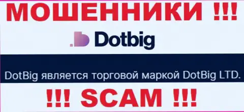 DotBig - юр лицо internet-мошенников компания DotBig LTD
