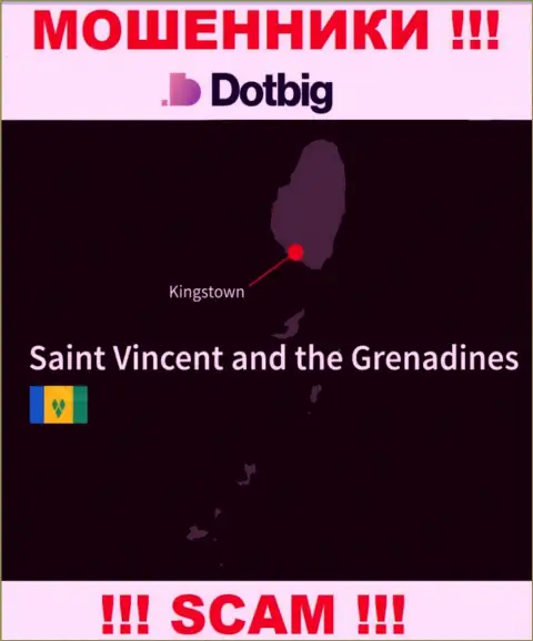 Dot Big имеют оффшорную регистрацию: Kingstown, St. Vincent and the Grenadines - будьте очень бдительны, жулики
