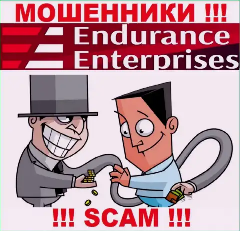 Прибыли с организацией Endurance Enterprises Вы не получите - не нужно заводить дополнительно финансовые активы
