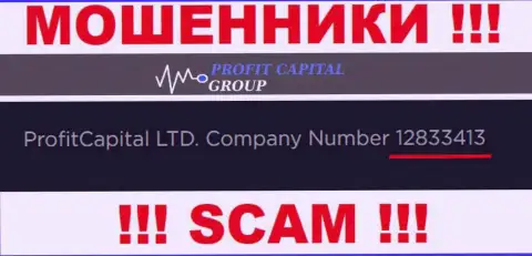 Номер регистрации ProfitCapitalGroup, который размещен мошенниками у них на сайте: 12833413