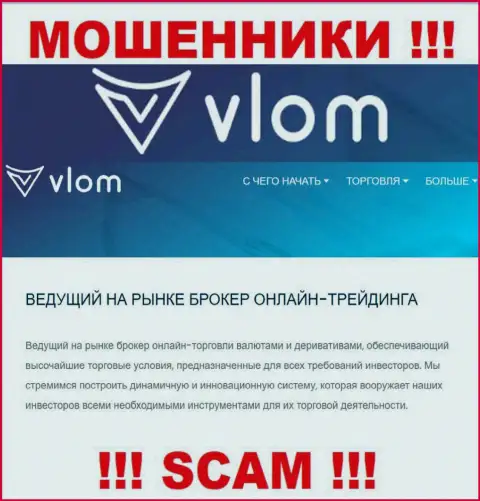 Область деятельности незаконно действующей компании Vlom - Брокер