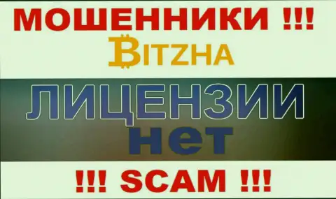 Ворам Bitzha 24 не дали разрешение на осуществление деятельности - воруют денежные вложения