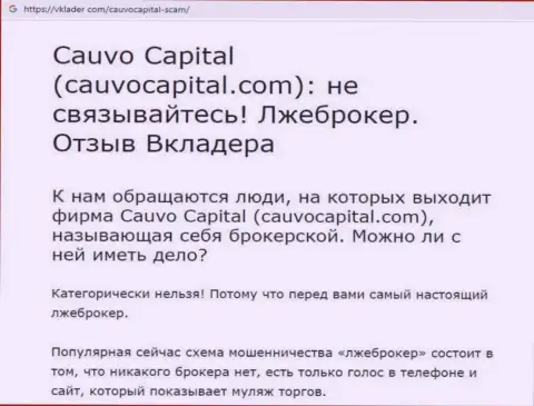 Cauvo Capital - это МОШЕННИКИ и РАЗВОДИЛЫ !!! Дурачат и отжимают финансовые активы (обзор)