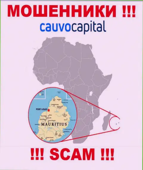 Компания CauvoCapital прикарманивает финансовые средства лохов, расположившись в офшоре - Mauritius