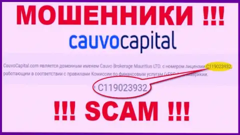 Мошенники Cauvo Capital умело обувают клиентов, хотя и показали лицензию на веб-ресурсе