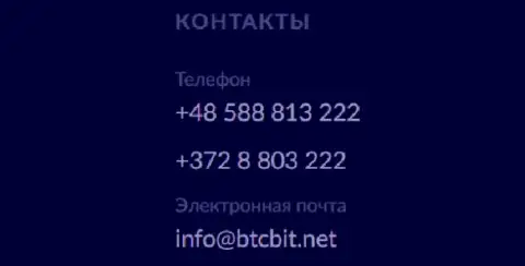 Номера телефонов и адрес электронной почты обменного онлайн-пункта BTCBit Net