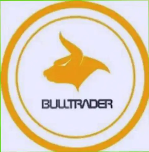 Форекс брокер BullTraders, инструменты торговли которого активно применяются трейдерами рынка валют Forex