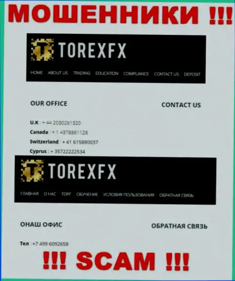 В запасе у обманщиков из TorexFX припасен не один номер телефона