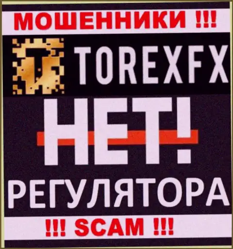 Организация Torex FX это ВОРЫ !!! Работают нелегально, потому что у них нет регулятора